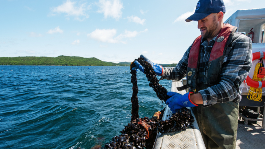 Thanks to Aquaculture, the Future is Bright for Newfoundland