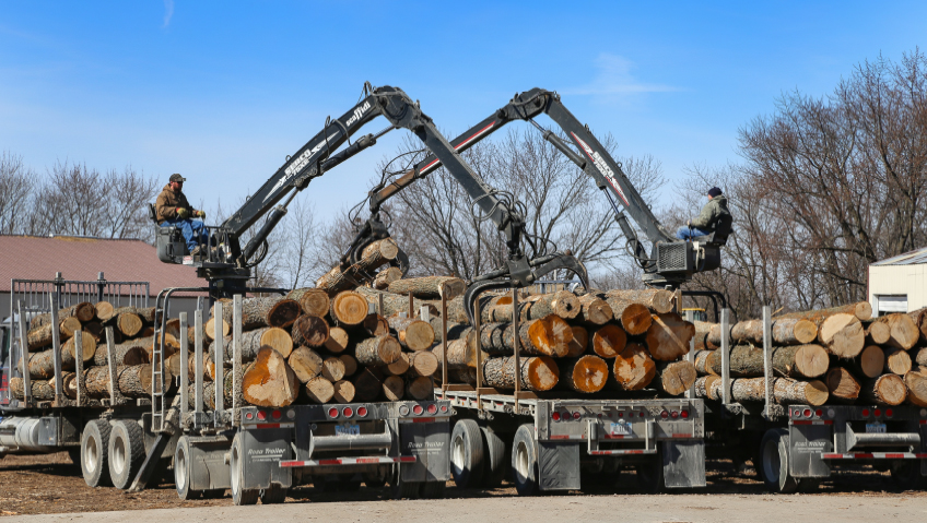 From Logs to Cabinets and Beyond – A Family-Owned Success Story